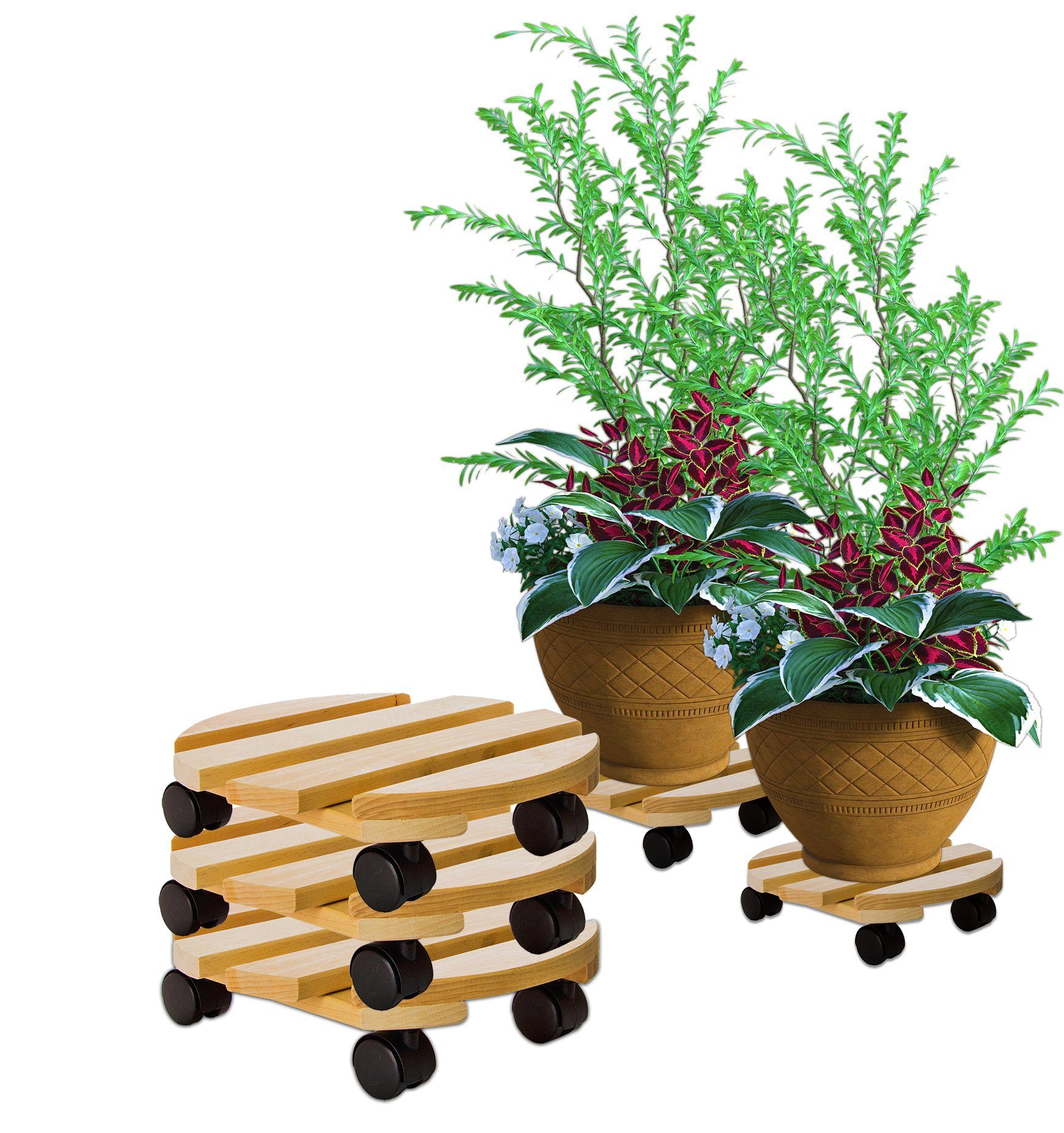 BigDean Blumentopfuntersetzer Pflanzenroller rund Buchenholz Holz günstig online kaufen
