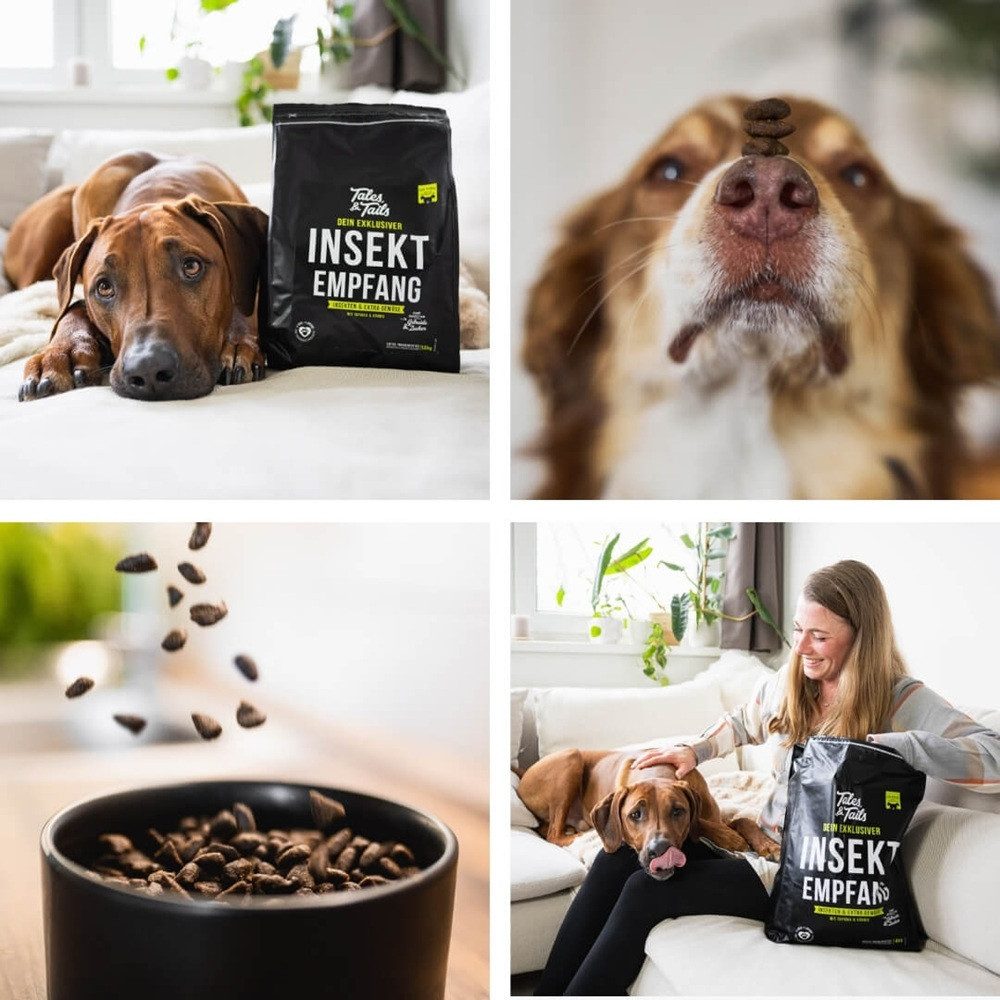 Tales & Tails Softtrockenfutter Exklusiver InSektempfang, Trockenfutter für: Hunde