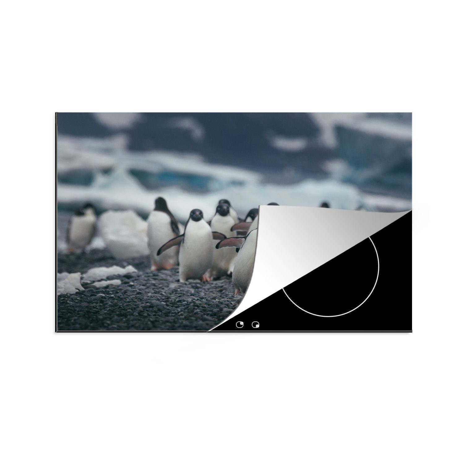 MuchoWow Herdblende-/Abdeckplatte die tlg), am für (1 Vinyl, Strand, cm, küche, Adeliepinguine Ceranfeldabdeckung Schutz Induktionskochfeld 81x52