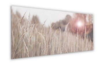 artissimo Glasbild Glasbild XXL 125x50 cm Bild aus Glas hell groß beige Gräser Natur, Landschaften: Feld und Wald