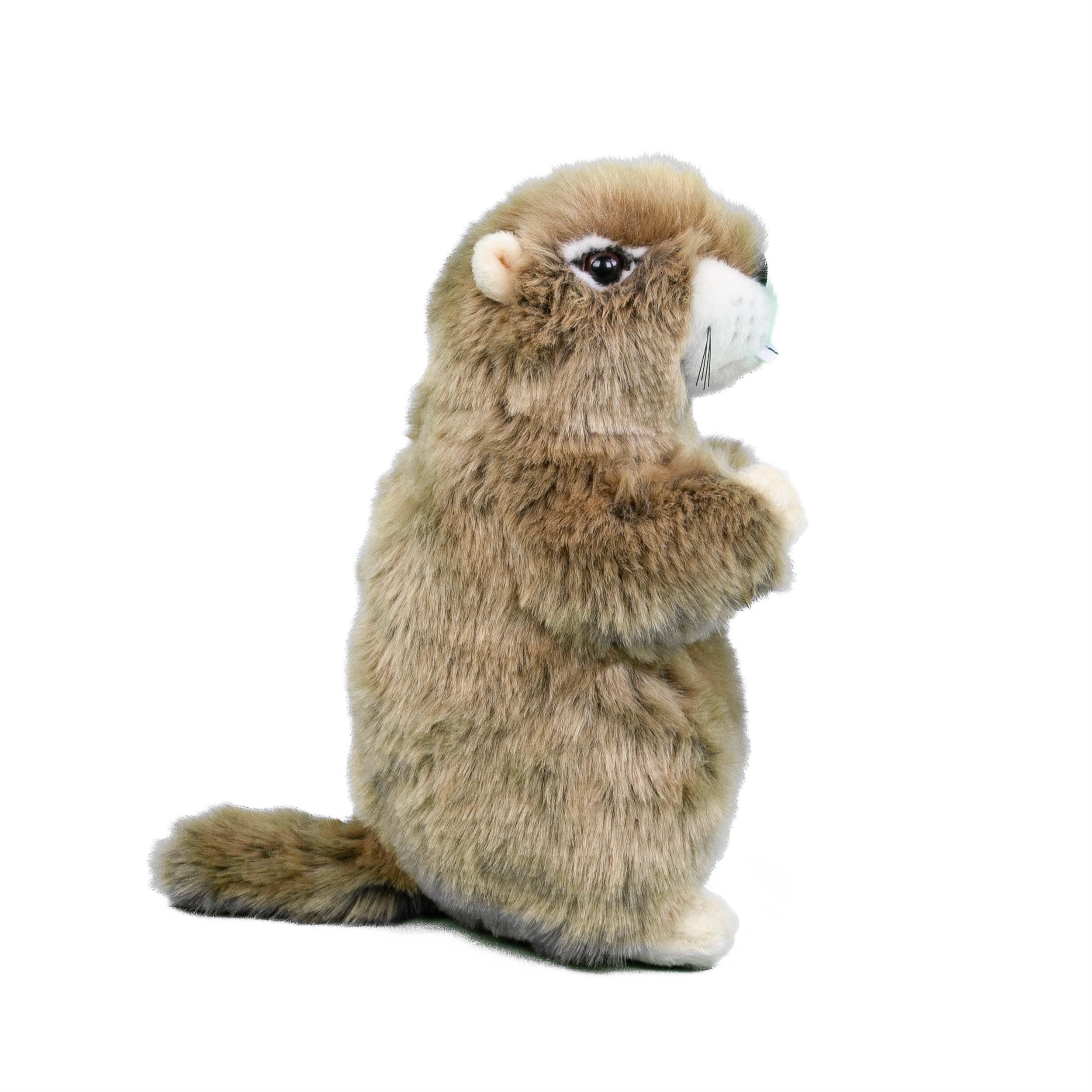 Teddys Rothenburg Kuscheltier Murmeltier stehend braun 23 cm Plüschtier günstig online kaufen