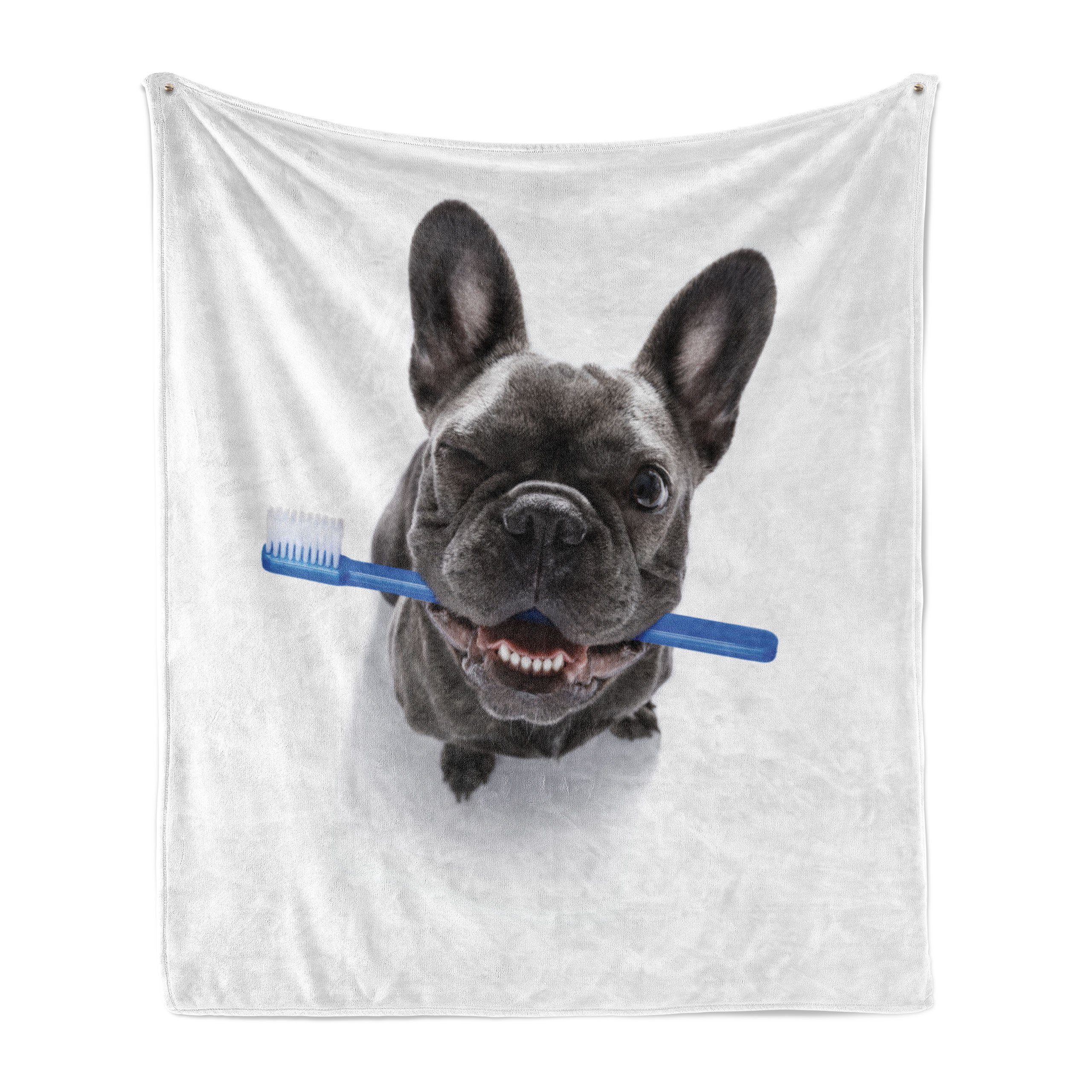 Zahnbürste Plüsch Hund Gemütlicher mit Lustiger Innen- für und Außenbereich, Bulldogge Wohndecke den Abakuhaus,