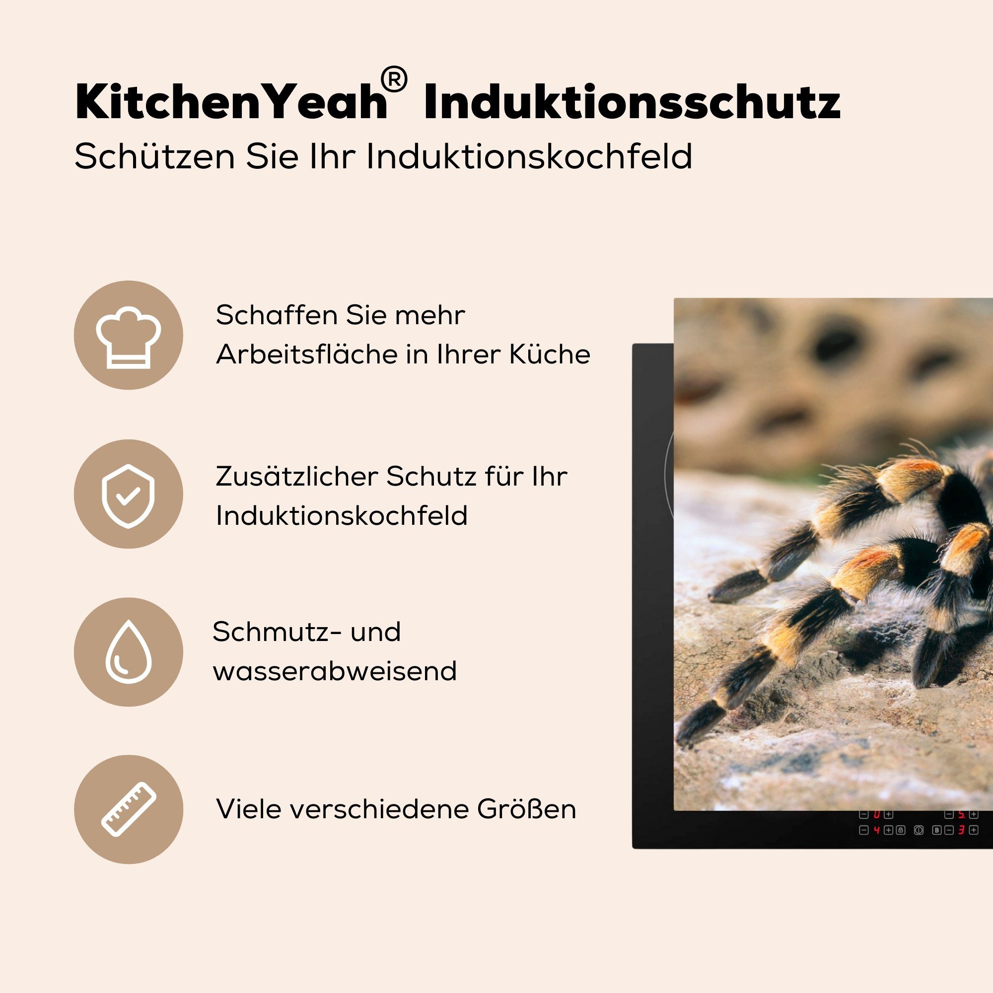 Induktionskochfeld Herdblende-/Abdeckplatte tlg), (1 die Schutz küche, Vogelspinne cm, Nahaufnahme, für Vinyl, Ceranfeldabdeckung 81x52 MuchoWow