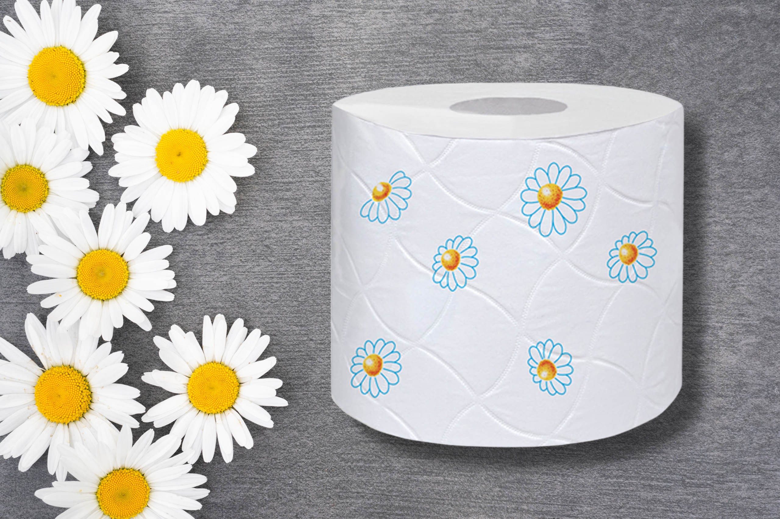 Regina Toilettenpapier REGINA fein und stark Kamille Toilettenpapier für sensible Haut (16-St)