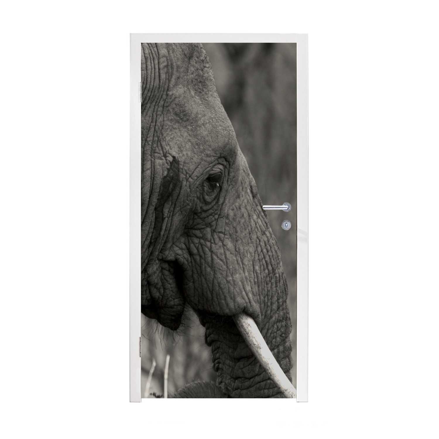 MuchoWow Türtapete Elefant - Tiere - Schwarz - Weiß, Matt, bedruckt, (1 St), Fototapete für Tür, Türaufkleber, 75x205 cm