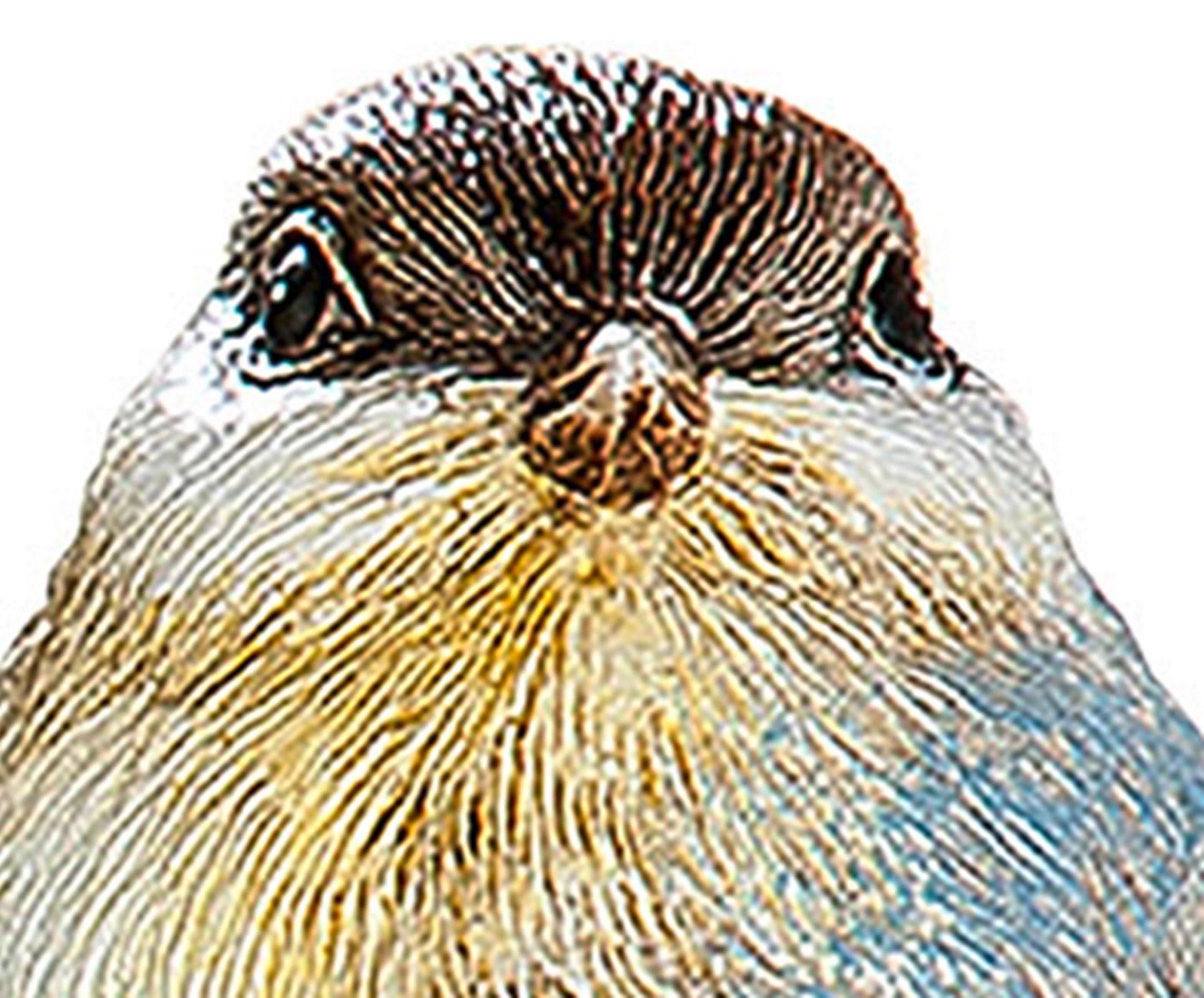 dekojohnson Dekofigur Deko-Vogel Frühlingsdekoration blau 5x7x6 grau cm