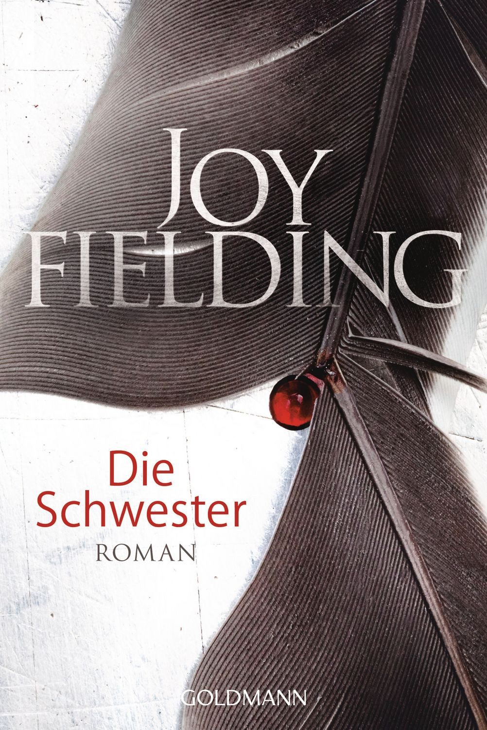Belletristik Die Schwester Roman Joy Fielding