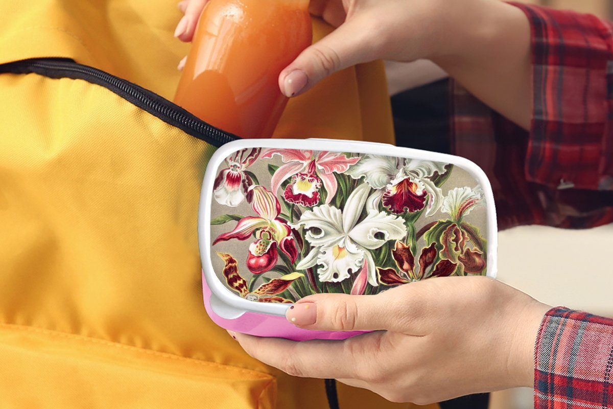 Lunchbox Kunststoff, Ernst - Kinder, - Kunststoff für rosa Brotdose Brotbox Mädchen, Haeckel (2-tlg), Orchidee, MuchoWow Snackbox, Jahrgang - Erwachsene, Blumen