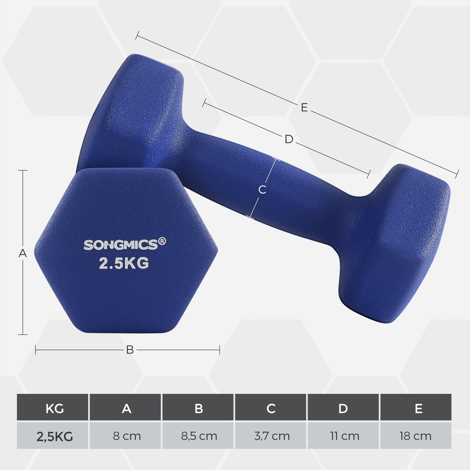 SONGMICS Kurzhantel Kurzhanteln, 2er Set, Krafttraining, zu Hause, Büro