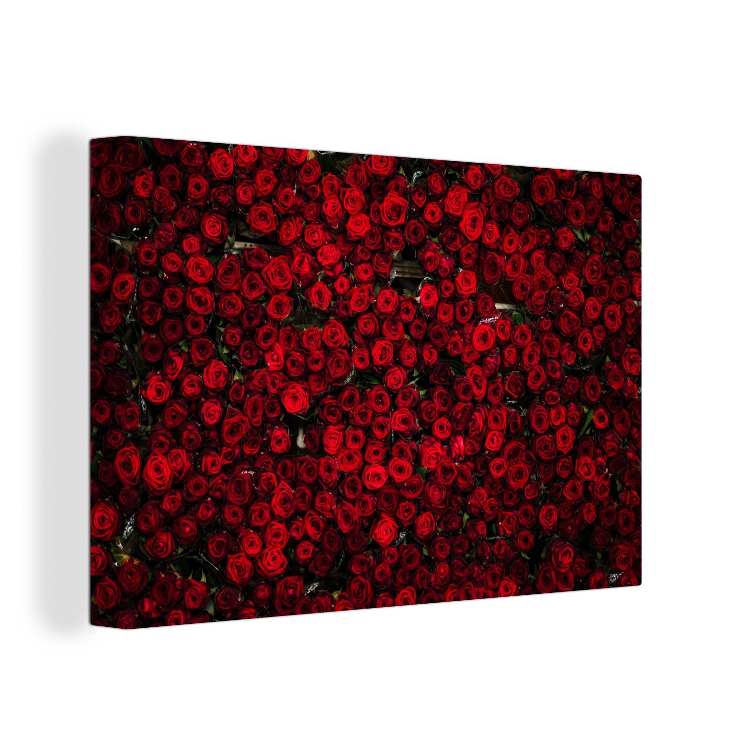 OneMillionCanvasses® Leinwandbild Blumen - Rosen - Rot, Fotodruck (1 St), Leinwand Bilder Klein, Wand Dekoration Aesthetic 30x20 cm