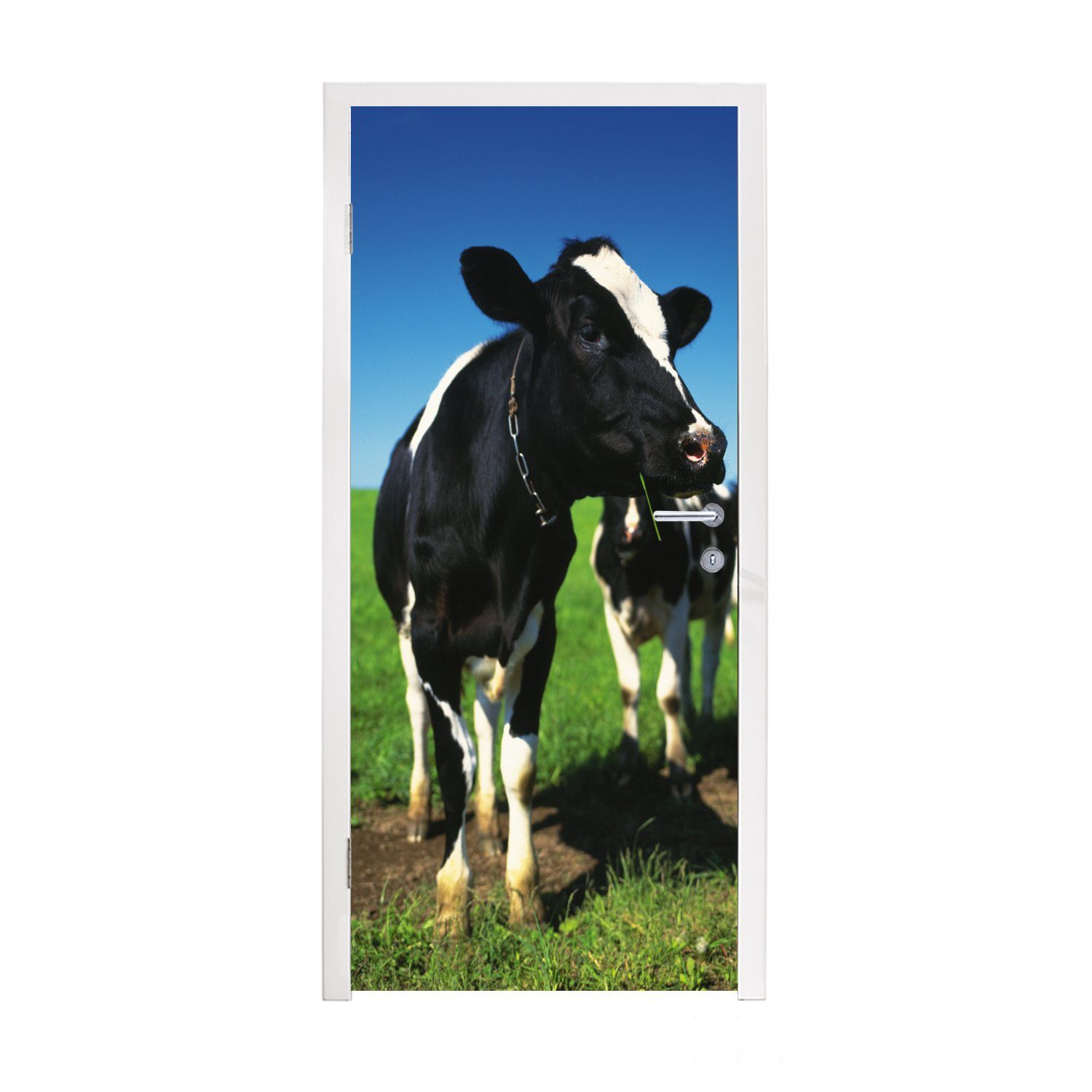 MuchoWow Türtapete Kuh - Gras - Tiere, Matt, bedruckt, (1 St), Fototapete für Tür, Türaufkleber, 75x205 cm
