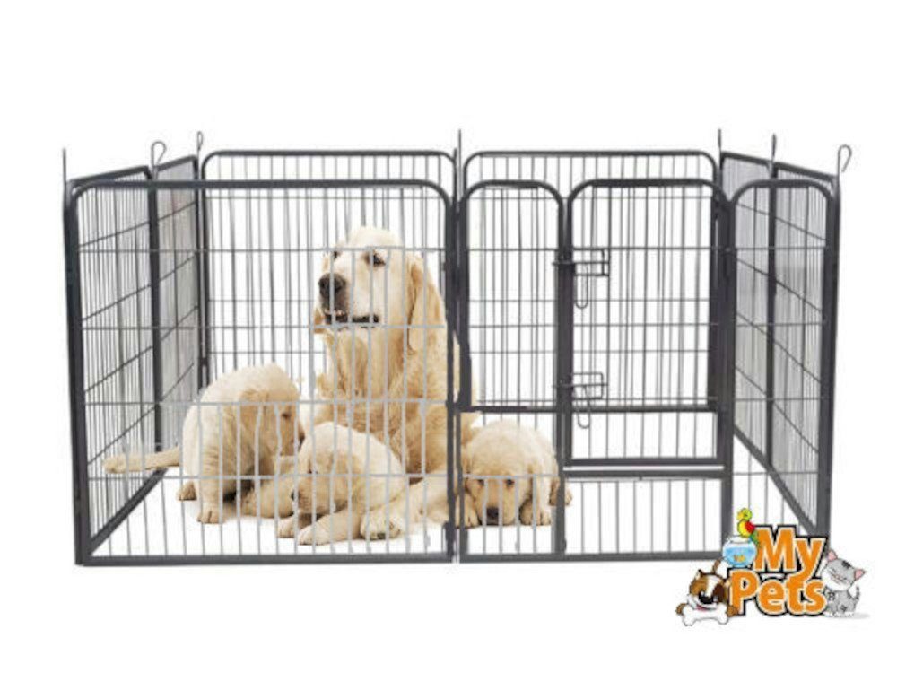 BruKa Freigehege Welpenauslauf Freigehege Young Dogs Tierlaufstall Welpenzaun 80cm