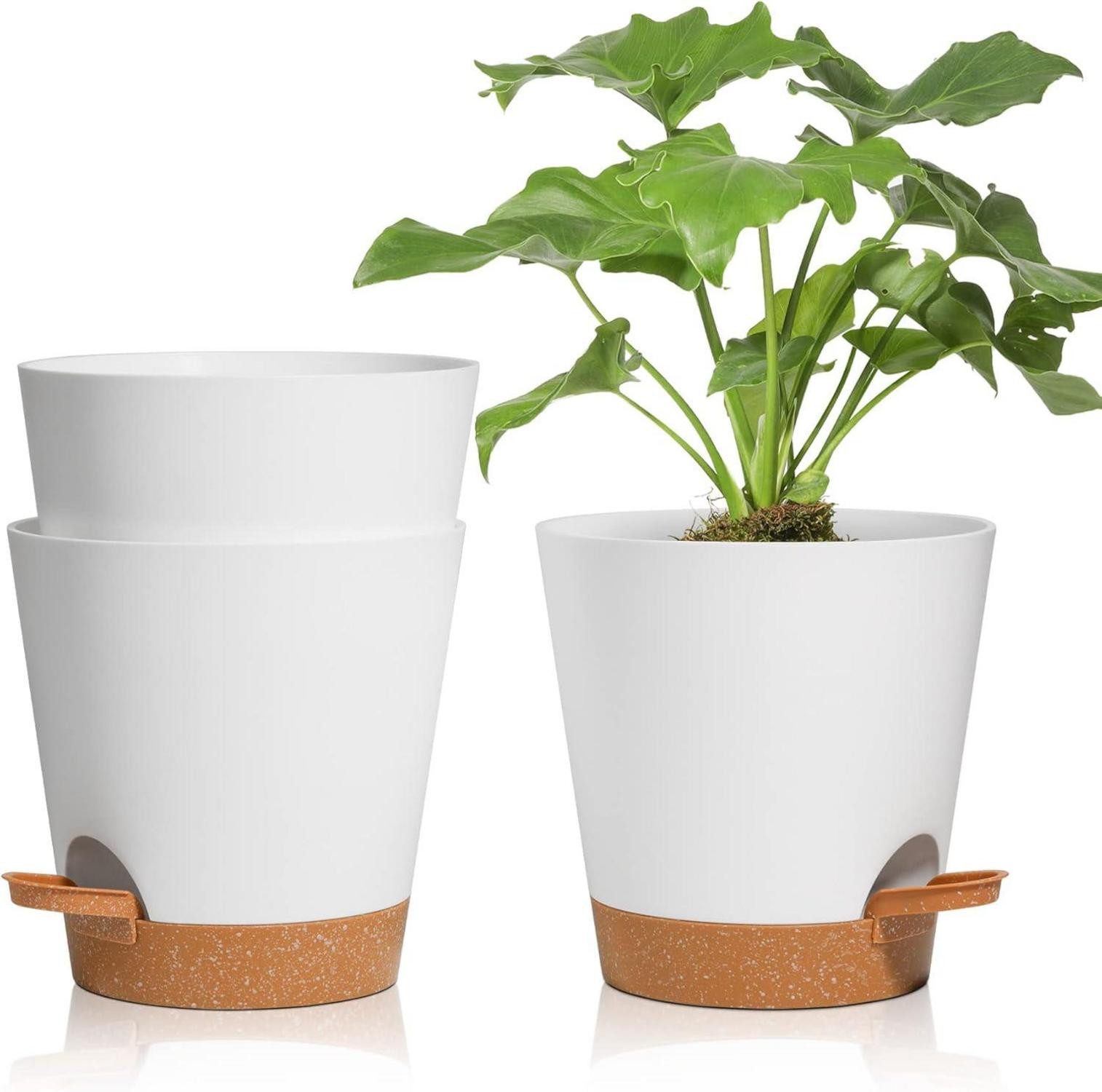 LuxusKollektion Плантатор Blumentopf 16,5cm Kunststoff mit Bewässerungssystem 3er-Set