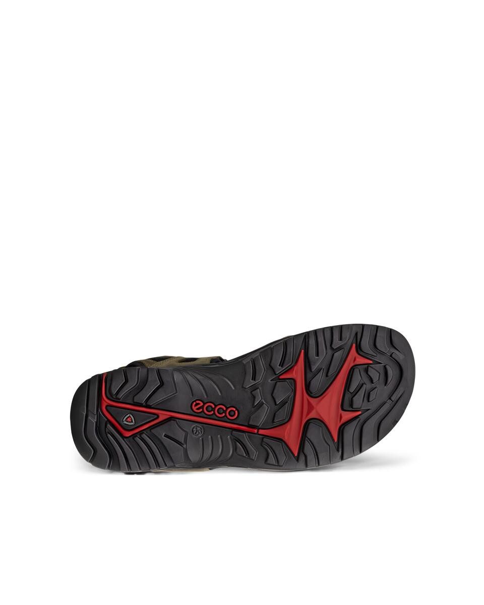 Ecco Offroad Outdoorsandale Sommerschuh, Klettschuh, Outdoorschuh, in Trekking-Optik