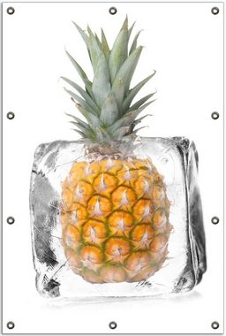 Wallario Sichtschutzzaunmatten Ananas in Eiswürfel - Eiskaltes Obst, rund