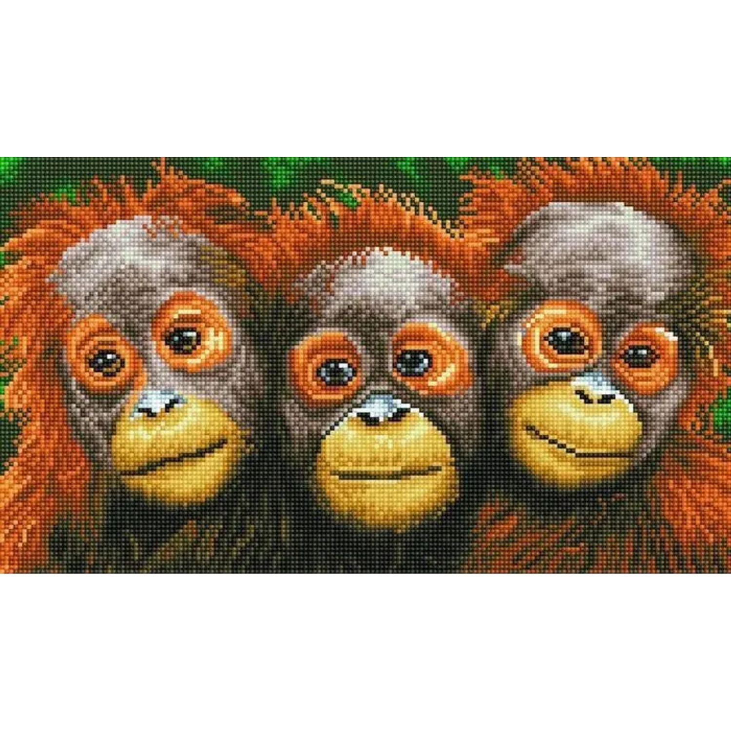 BrainBox Spiel DIAMOND DOTZ - Diamond Painting Orang Utans
