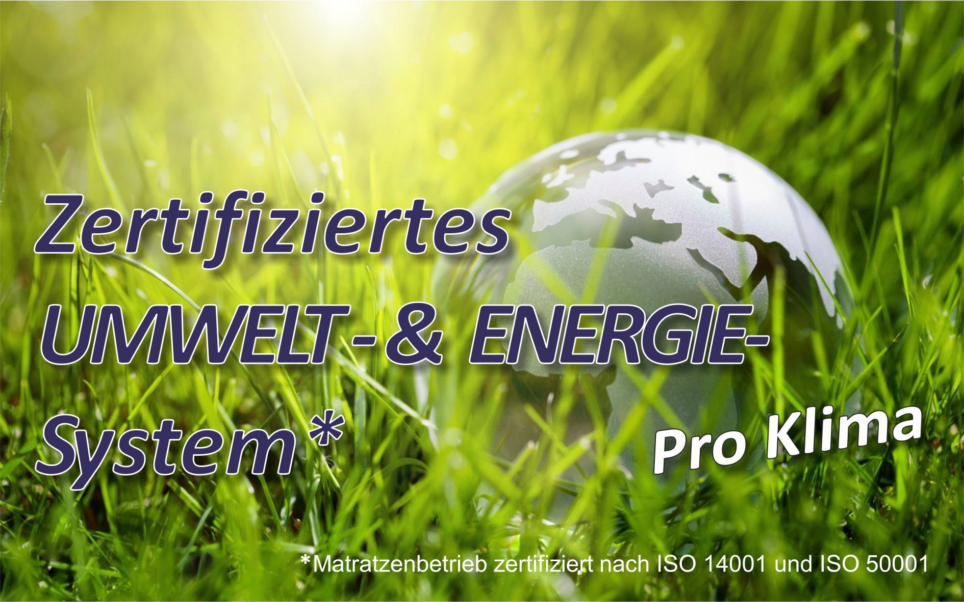 my home Microfaserbettdecke Rike, Bettdecke 135x200 günstig online kaufen