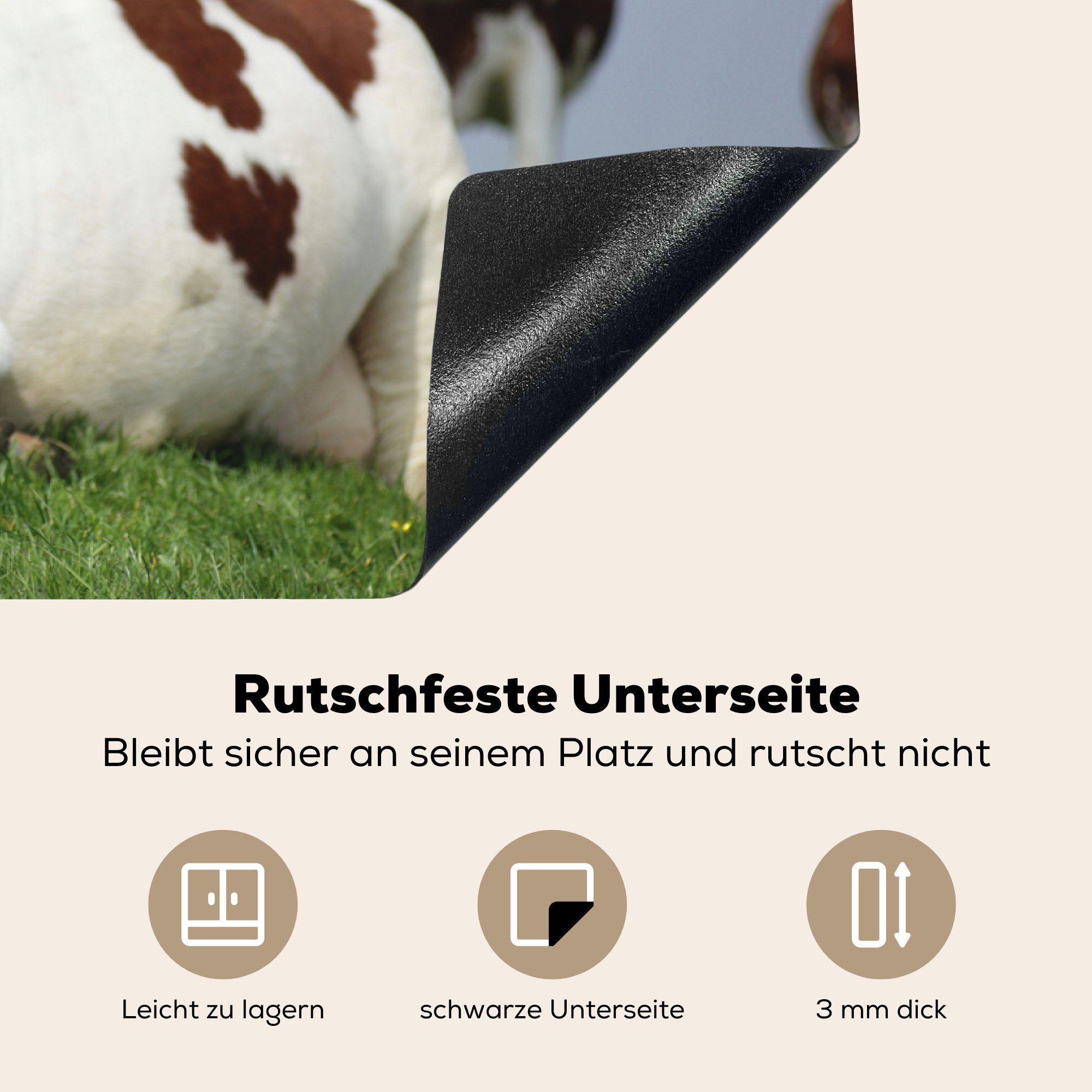 - Vinyl, cm, küche, Schutz Induktionskochfeld Gras Kühe (1 Ceranfeldabdeckung die Herdblende-/Abdeckplatte 81x52 - tlg), Friesland, MuchoWow für