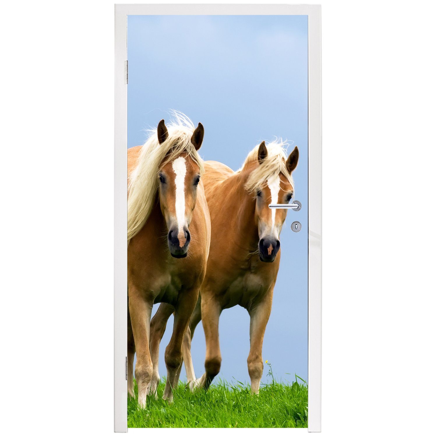 MuchoWow Türtapete Pferde - Gras cm - Matt, bedruckt, St), 75x205 Fototapete für Luft, Türaufkleber, (1 Tür
