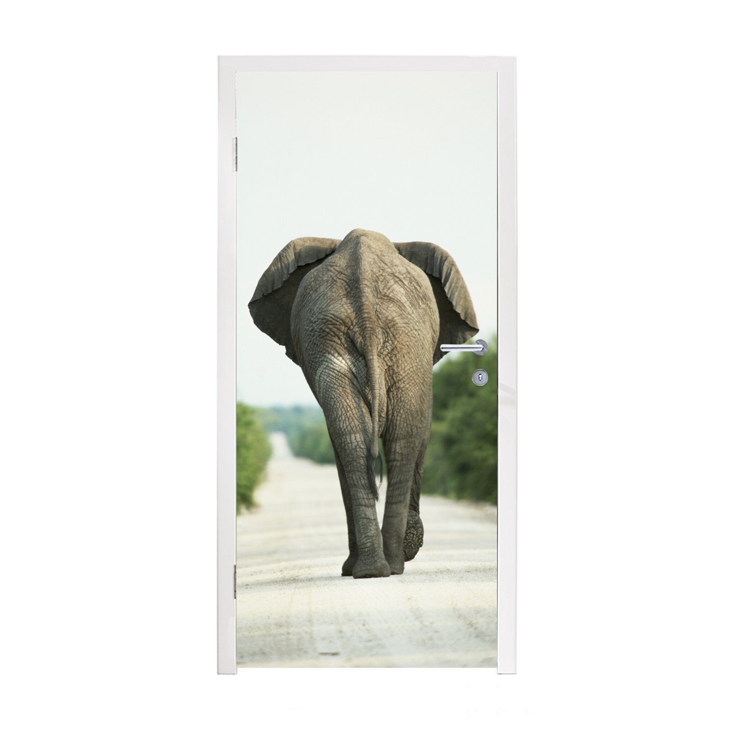 MuchoWow Türtapete Elefant - Kröte - Tiere - Natur, Matt, bedruckt, (1 St), Fototapete für Tür, Türaufkleber, 75x205 cm