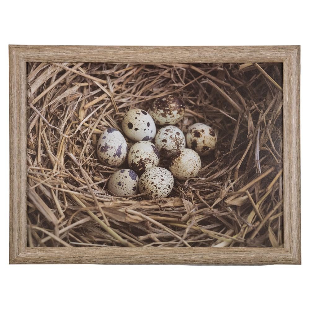 INNA-Glas Dekokissen Deko Kissen BJARKA, Eier im Nest Motiv, braun-weiß, 43x33x7cm