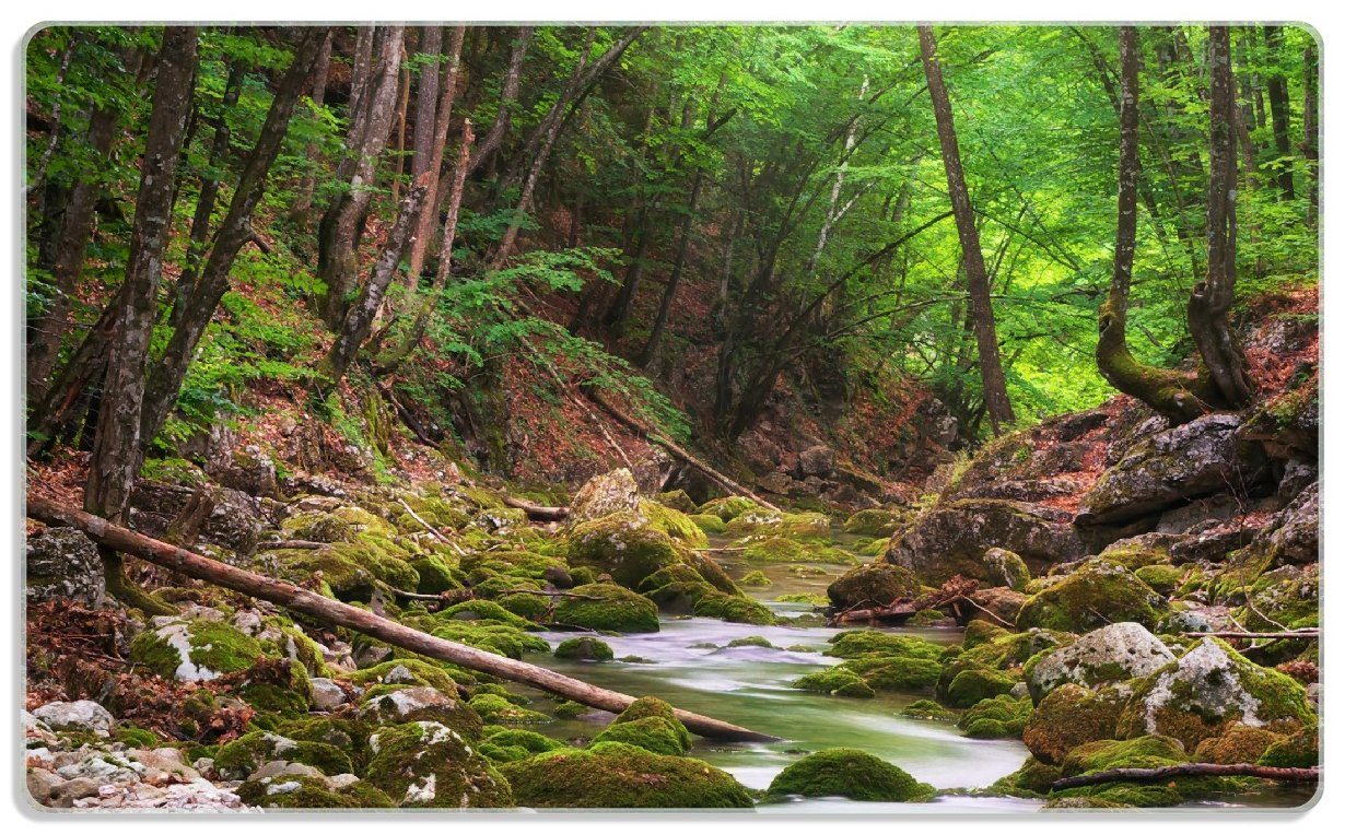 Wallario Frühstücksbrett Fluss im Wald, ESG-Sicherheitsglas, (inkl. rutschfester Gummifüße 4mm, 1-St), 14x23cm