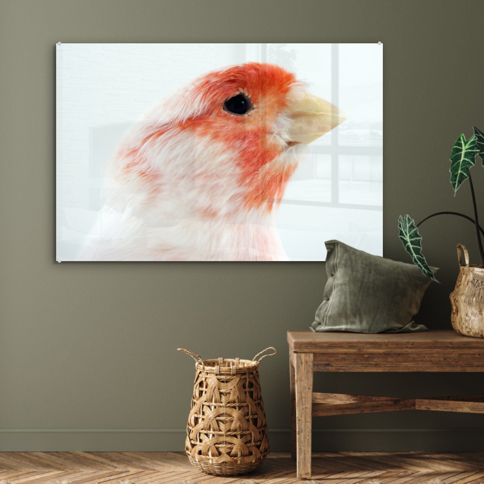 MuchoWow Acrylglasbild Roter Wohnzimmer St), Kanarienvogel, (1 weißer und & Acrylglasbilder Schlafzimmer
