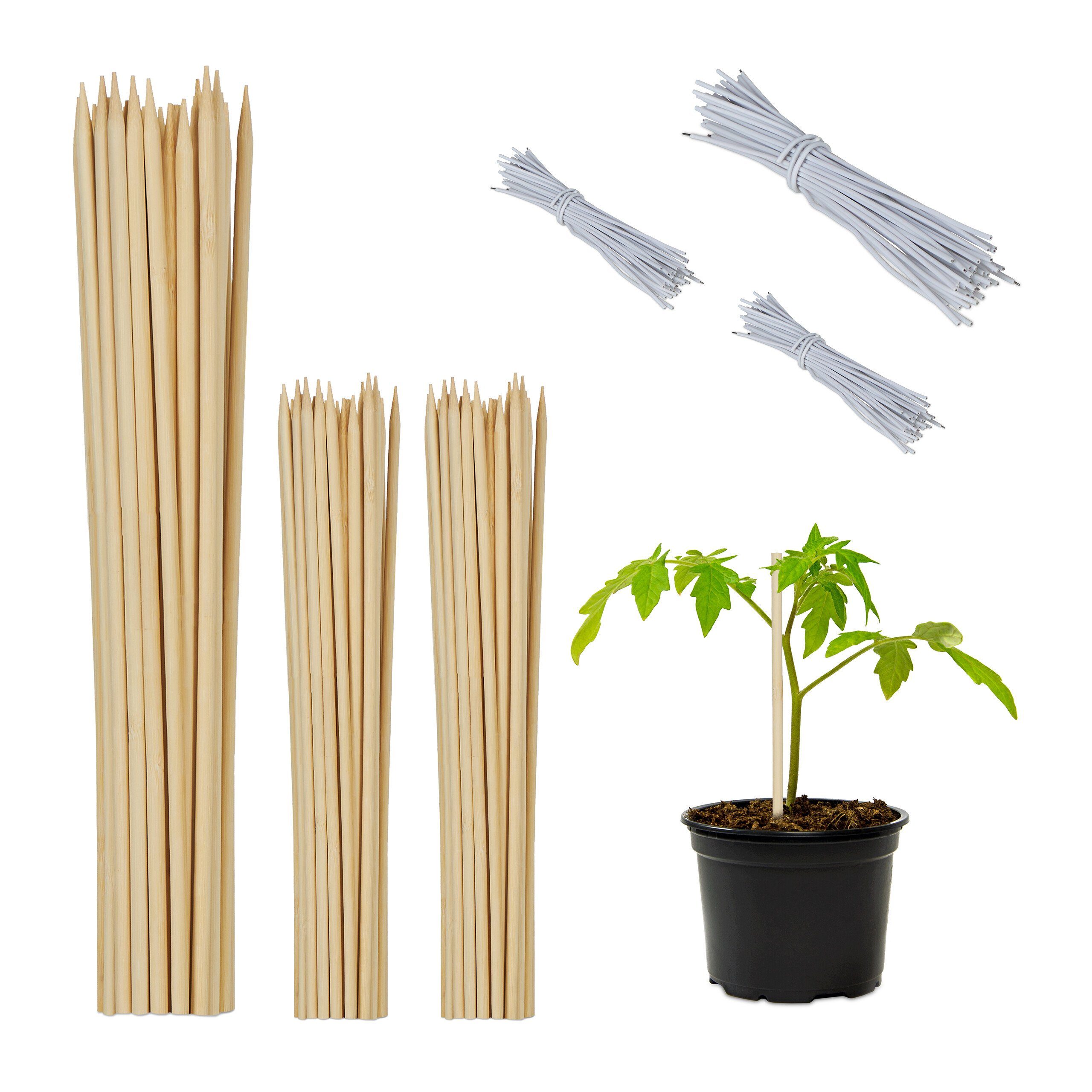 relaxdays Rankhilfe Bambus Pflanzstäbe 30 cm 150er Set