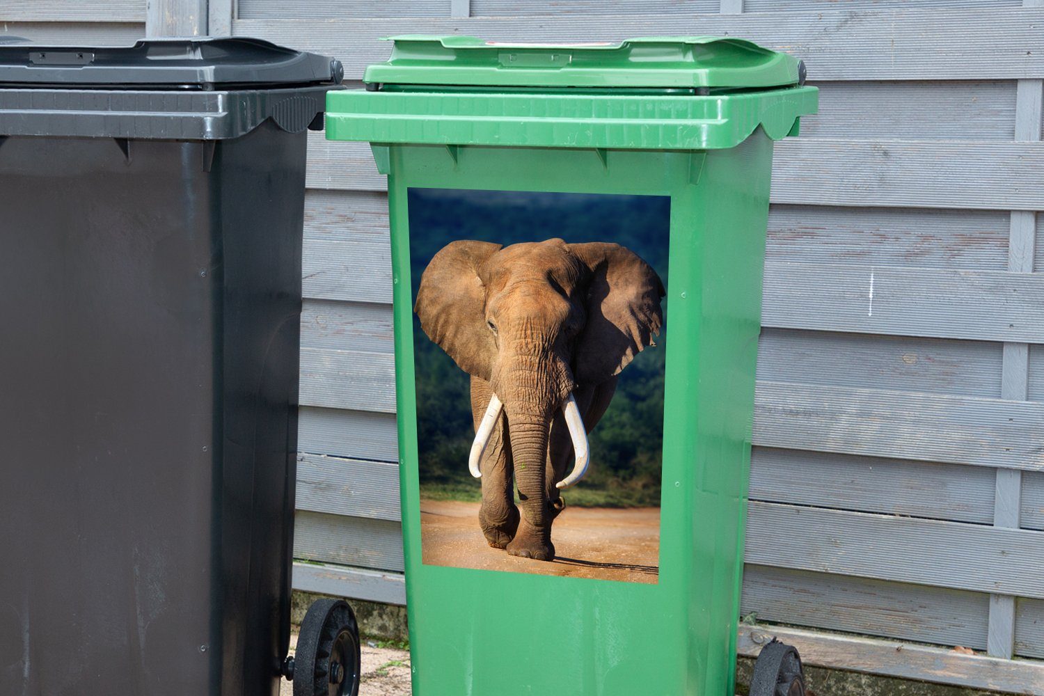 MuchoWow Wandsticker Elefant - Zähne Natur - Abfalbehälter Mülleimer-aufkleber, (1 Sticker, Container, Mülltonne, St)