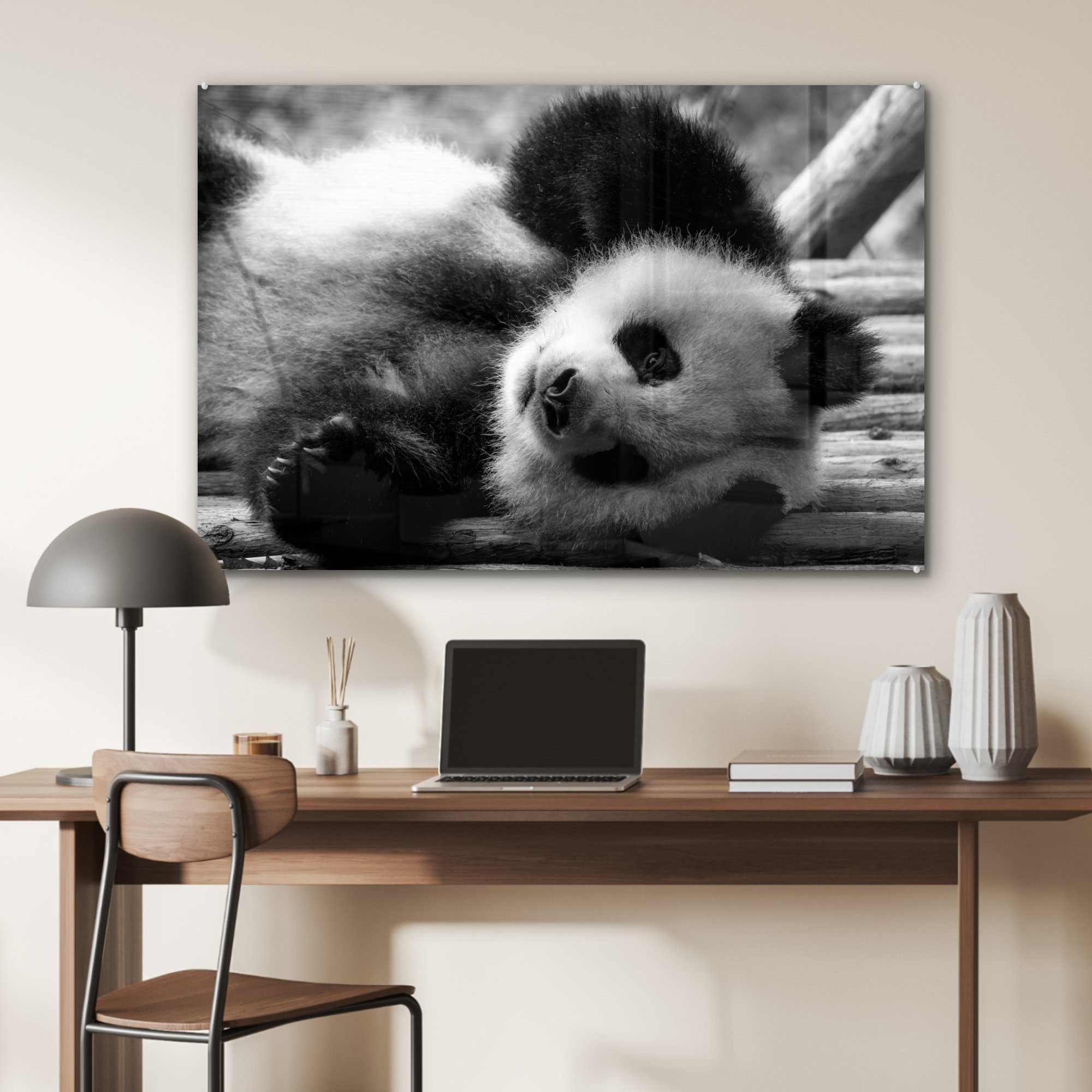 Tierprofil Acrylglasbilder Schlafzimmer Acrylglasbild (1 rollenden weiß, & und Panda schwarz in St), MuchoWow Wohnzimmer