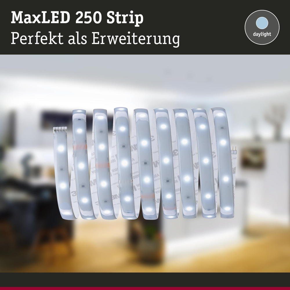 Silber MaxLED 1-flammig, LED Paulmann 6500K Stripe 10W LED IP44 Erweiterung Streifen 600lm Strip 2500mm, in LED