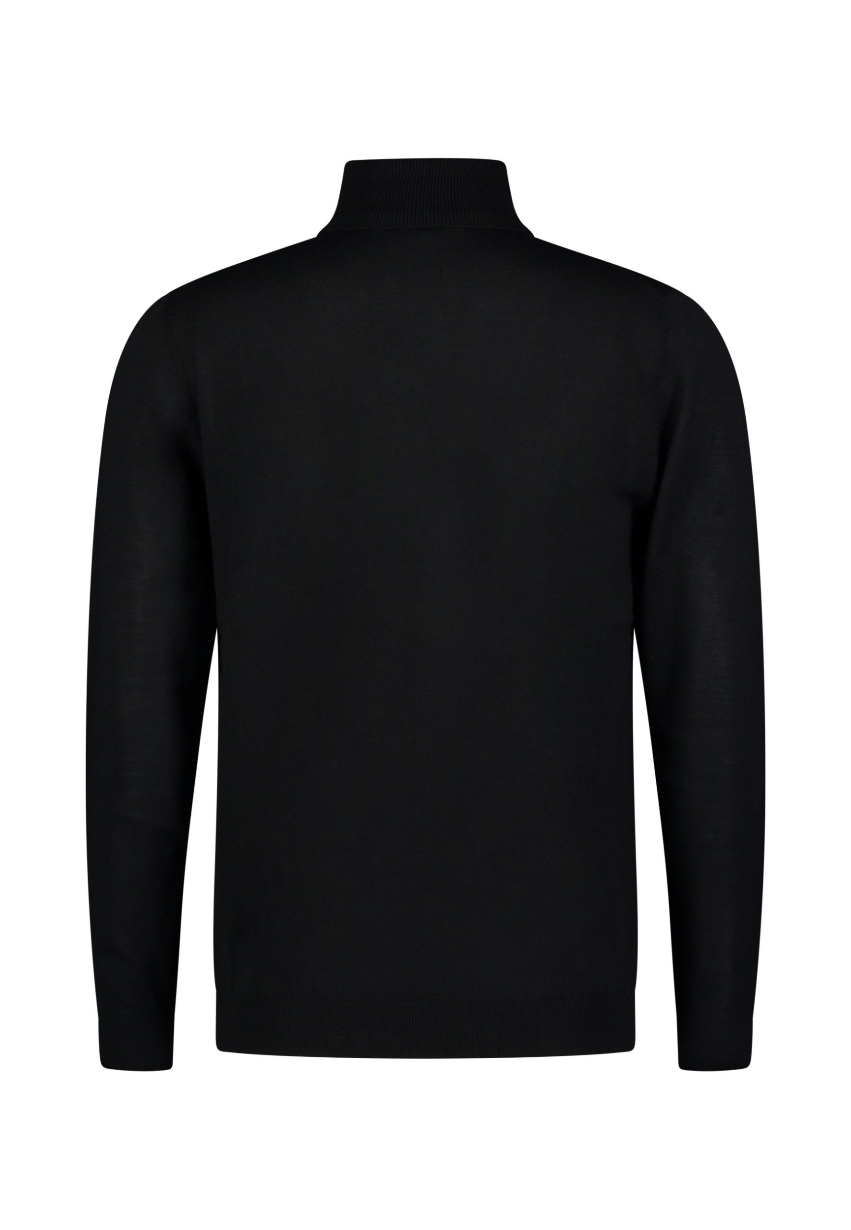 Roy Robson Strickpullover HERREN-PULLOVER 1/1 ARM