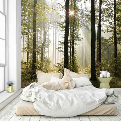murimage® Fototapete Fototapete Wald 3D 274 x 254 cm Bäume Sonne Natur Tapete inklusive Kleister