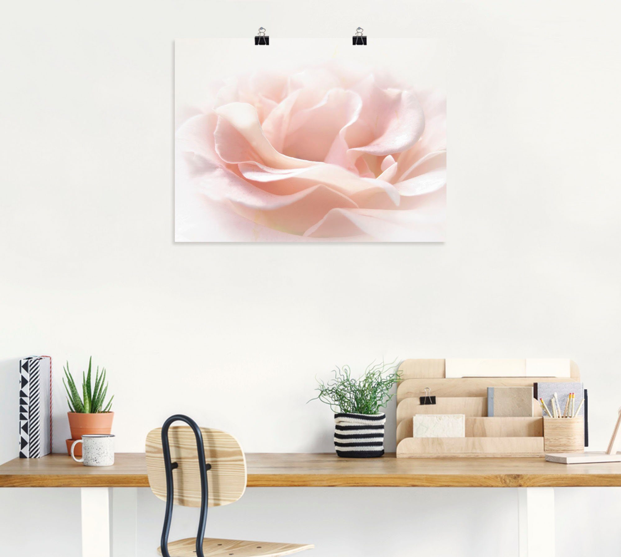 Artland Wandbild Rose I, Blumen (1 St), als Alubild, Poster in verschied. Größen