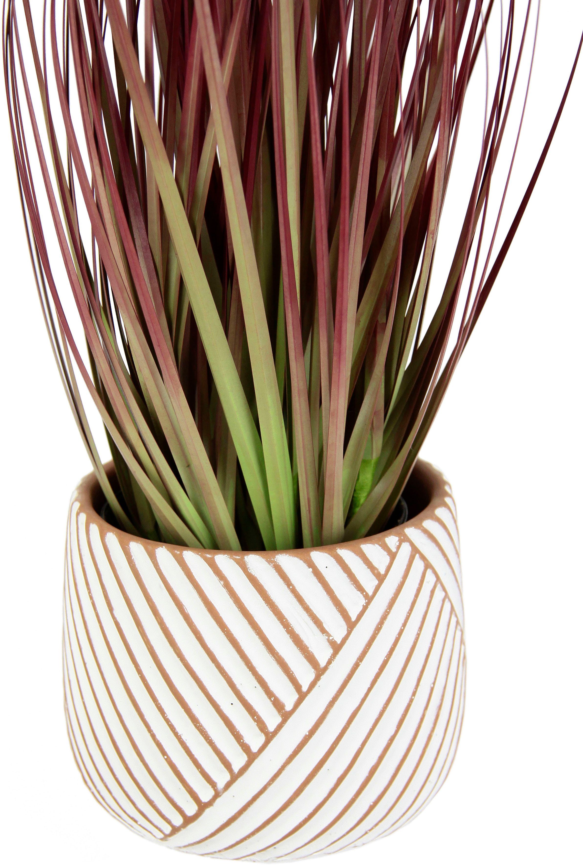 Kunstpflanze Fuchsschwanzgras, I.GE.A., Höhe 53 cm, Mit Übertopf Kunstgras Deko Borstenhirse Panicoideae Setaria