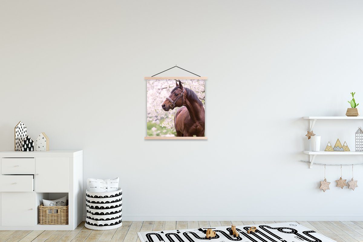 MuchoWow Poster Pferd - Sakura - Halfter, (1 St), Posterleiste, Textilposter für Wohnzimmer, Bilderleiste, Magnetisch
