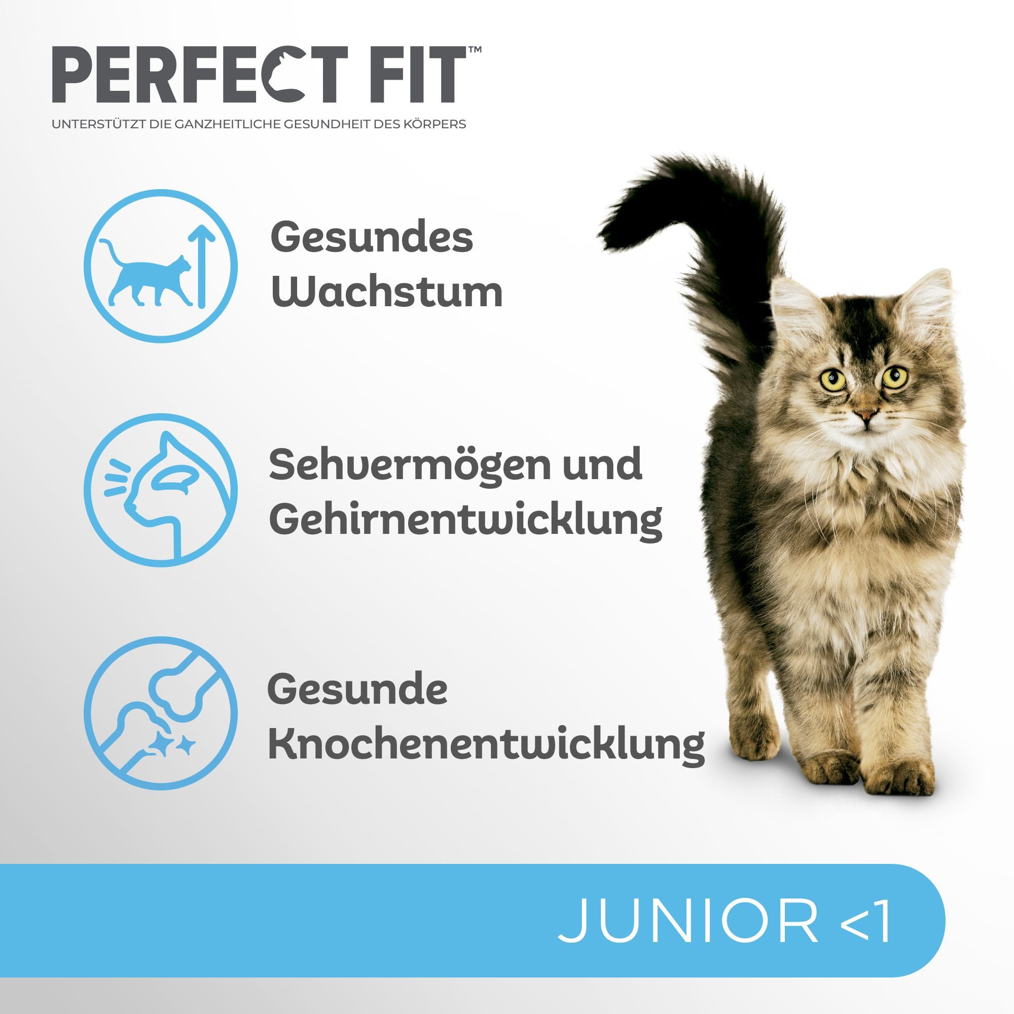 Perfect Fit PERFECT FIT™ Katze Beutel Junior <1 mit Huhn 6 x 750g, Trockenfutter für: Katze
