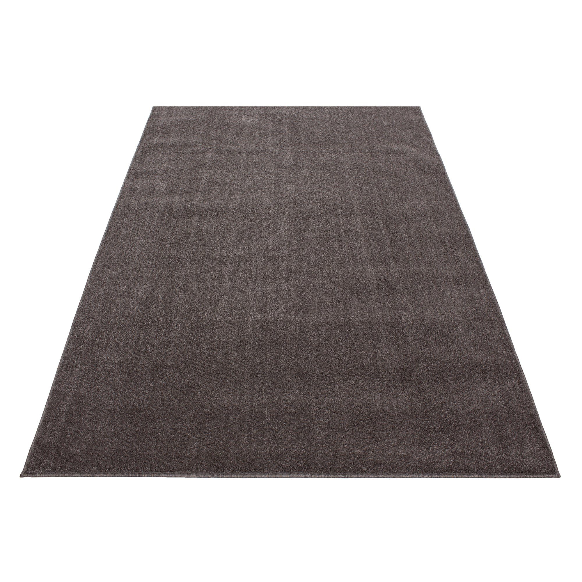 Homtex Teppich, 60 x 100 cm, günstig online kaufen