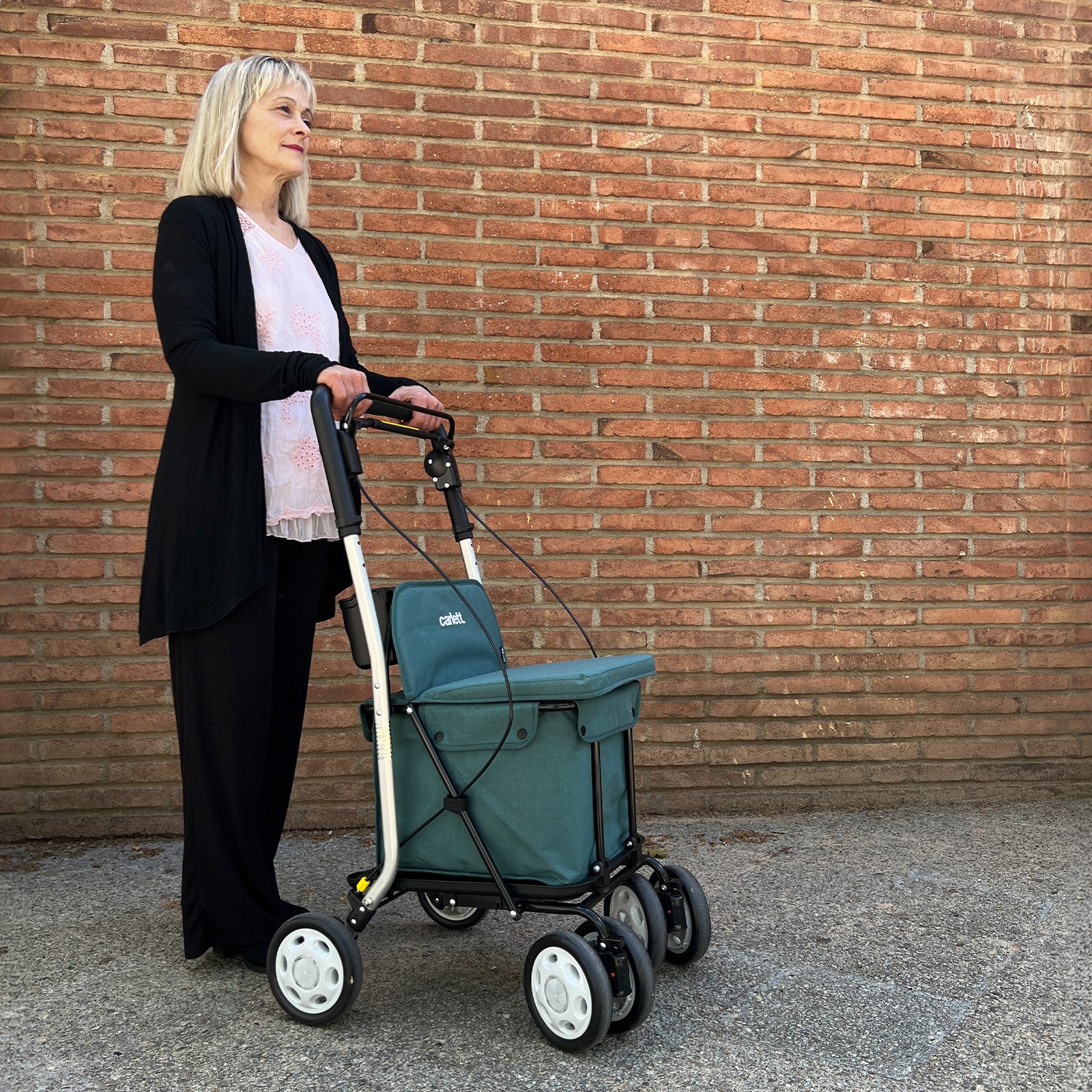 Carlett Einkaufstrolley Einkaufswagen Shopping Trolley Rollatoren für Senioren, Maximale Sitzbelastung 125 kg, 30L, Wasserdichte Tasche aus Polyester