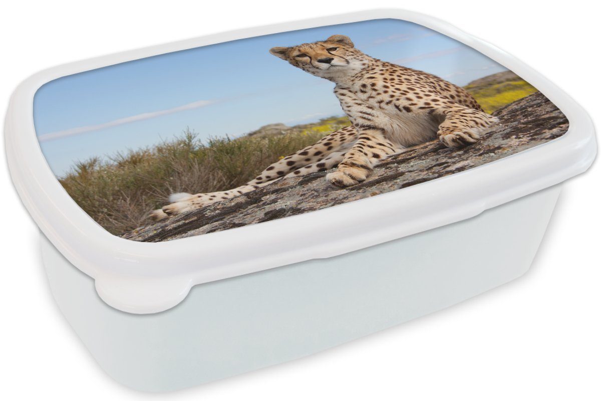 MuchoWow Lunchbox Leopard Jungs Natur, und Tiere Erwachsene, Brotdose, und für - Kunststoff, Mädchen (2-tlg), weiß Brotbox für Kinder 