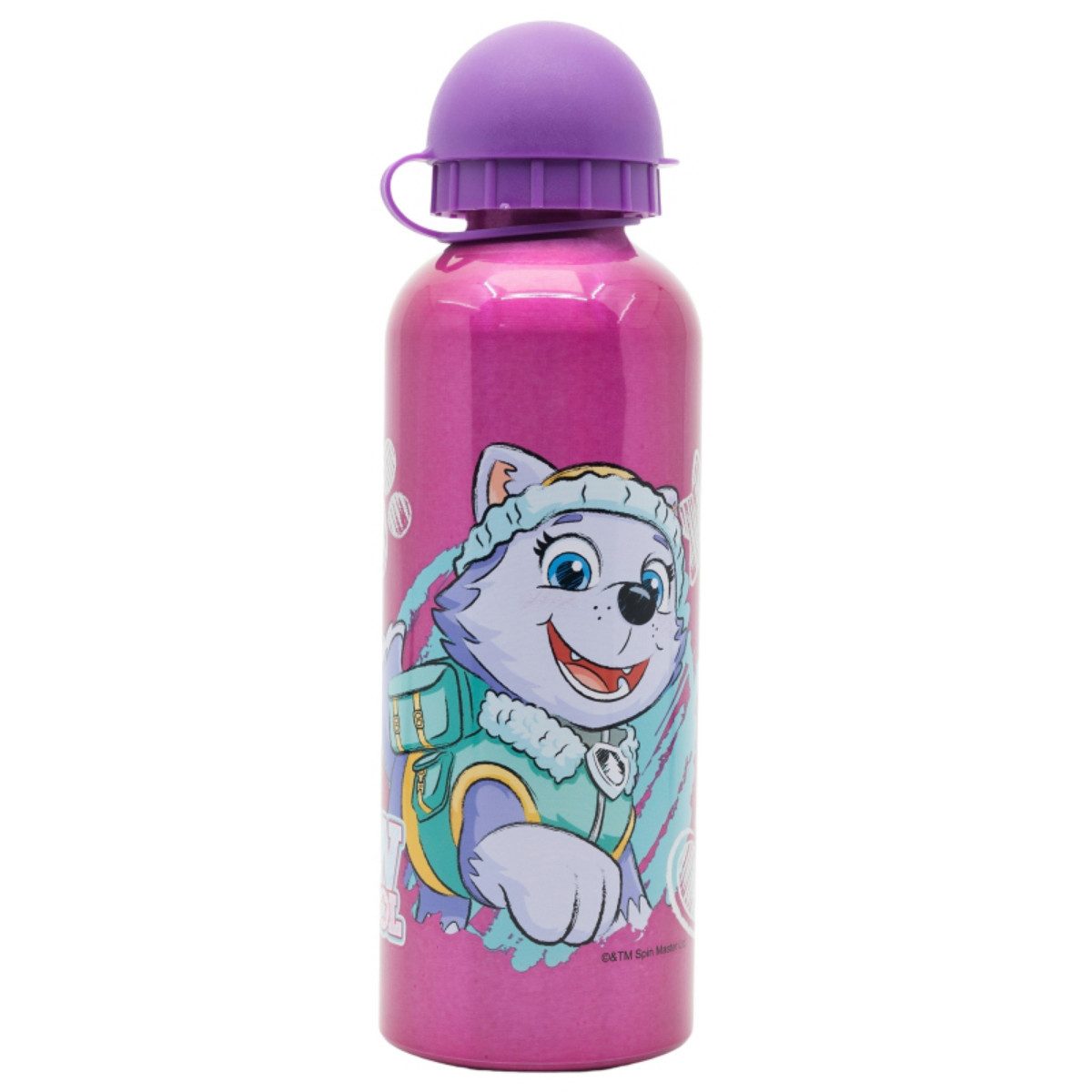 PAW PATROL Trinkflasche Paw Patrol Skye Everest Kinder Alu Wasserflasche Flasche 530 ml