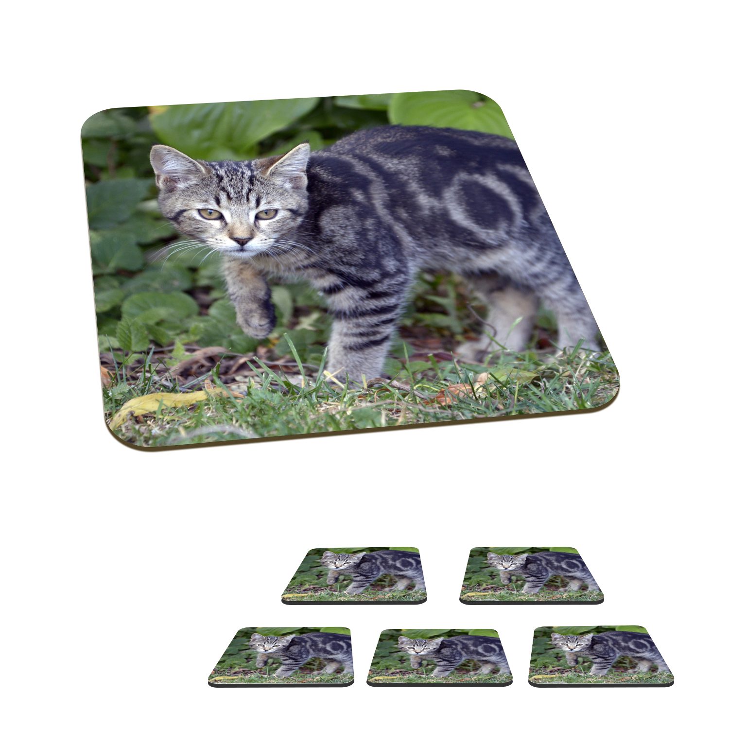 Zubehör Gläser, Katze Kind, Glasuntersetzer, Kinder - - - Kinder - Haustier MuchoWow Glasuntersetzer Untersetzer, 6-tlg., Tasse - Garten Tischuntersetzer, Korkuntersetzer, Mädchen - für