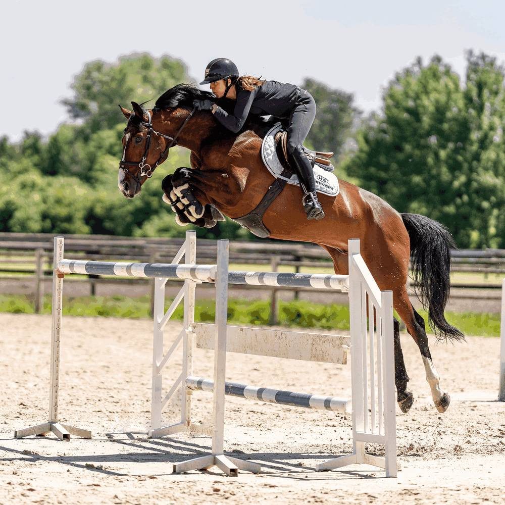 SPRENGER Steigbügel Sprenger Flexcite Steigbügel mit Gummieinlage