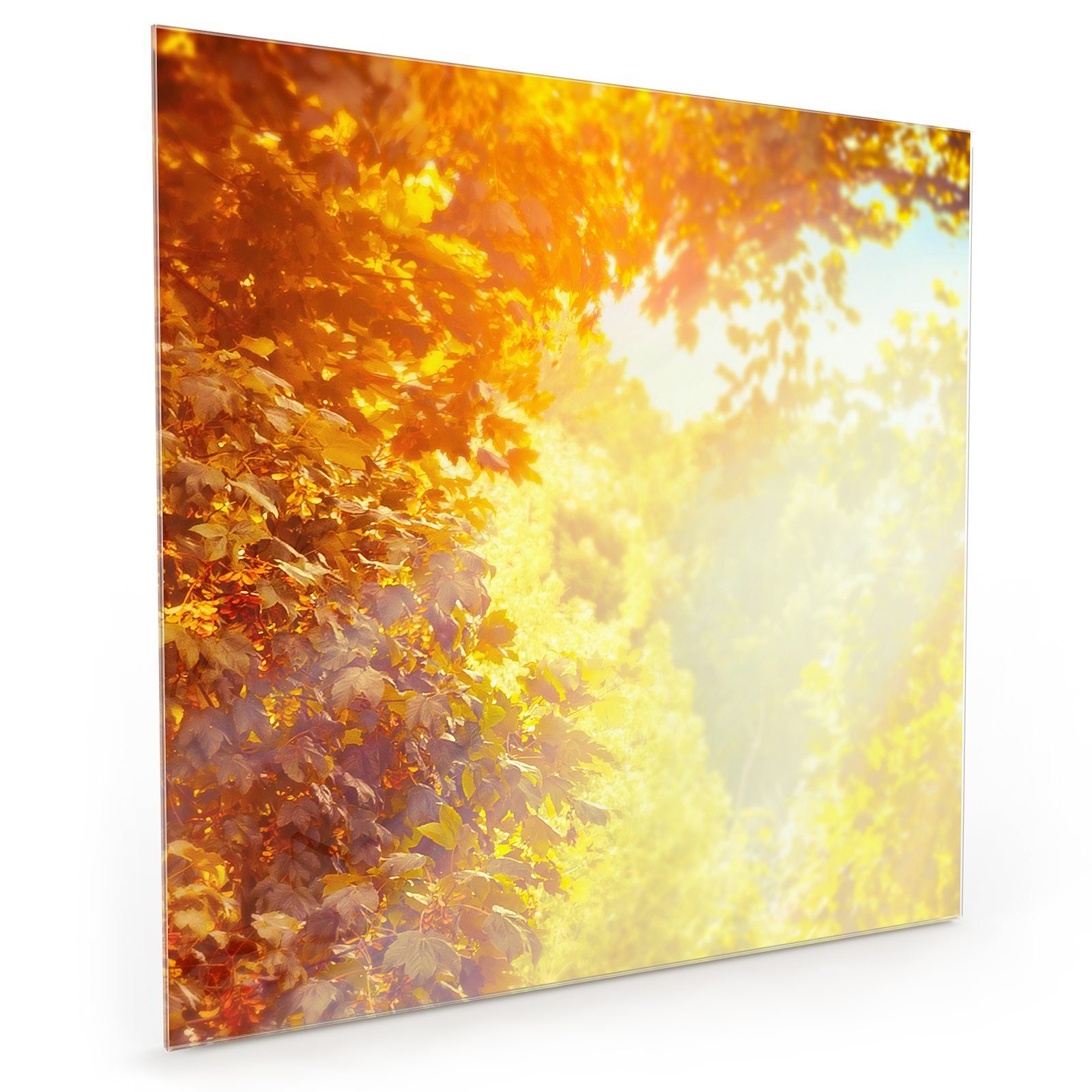 Primedeco Küchenrückwand Küchenrückwand Spritzschutz Glas mit Motiv Sonne im Herbst