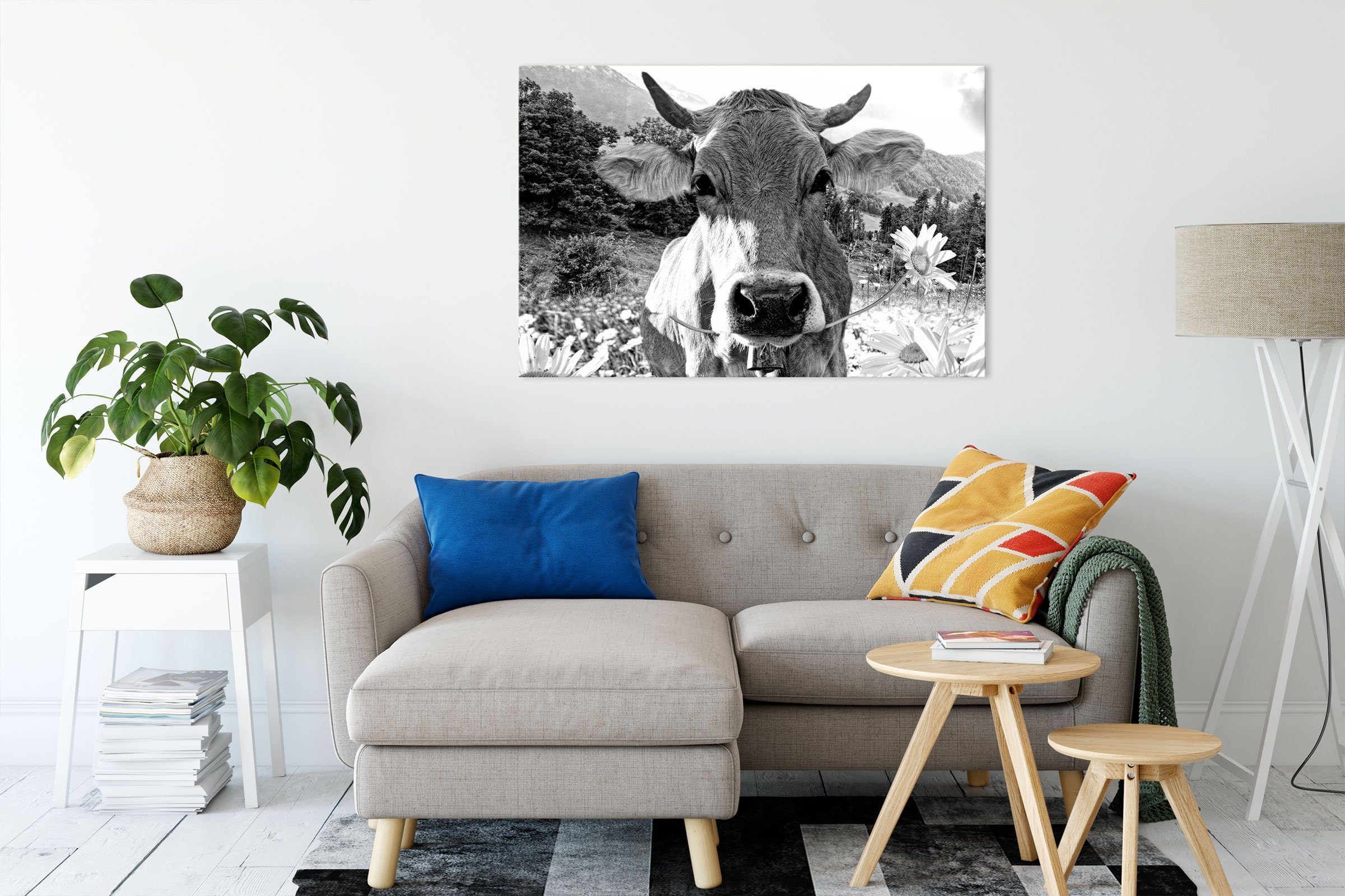 Pixxprint Leinwandbild Nahaufnahme Kuh mit Margerite, günstig online kaufen