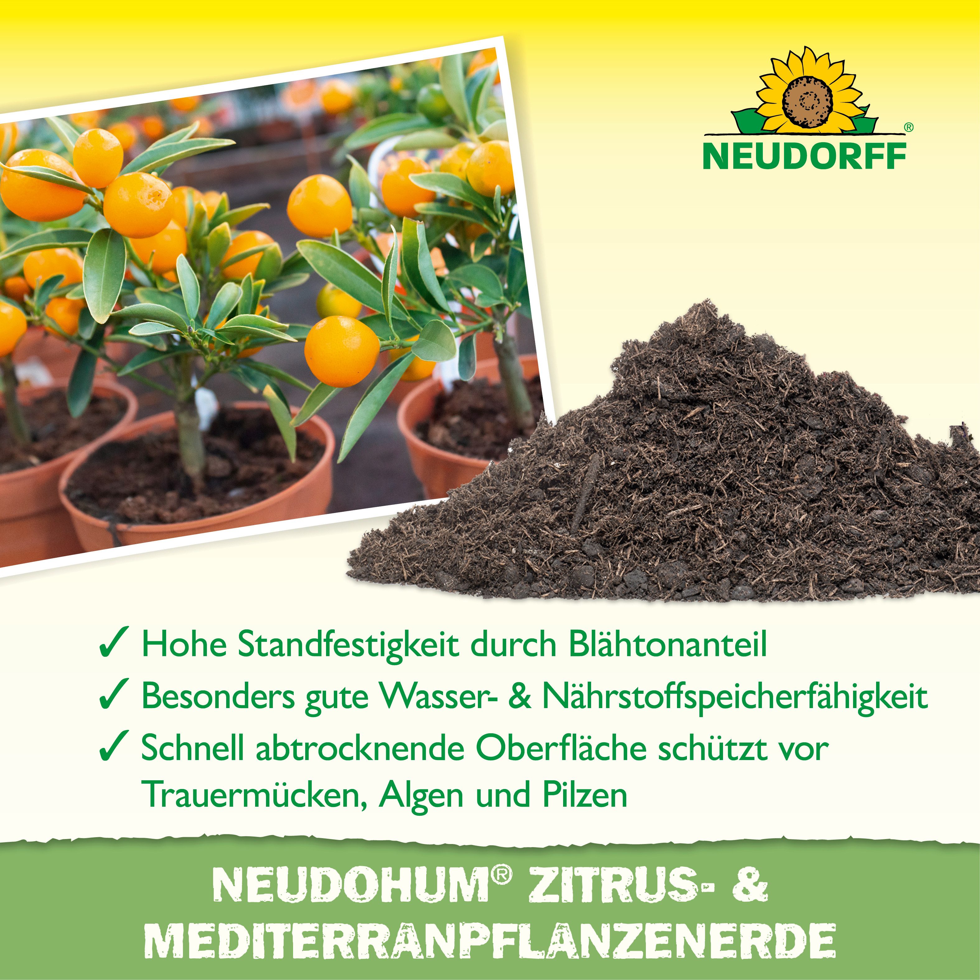 Neudorff Blumenerde Neudohum Mediterranpflanzen- und PalmenErde 20 L, mit Organische Grunddüngung, (Einzelartikel, Nimmt Wasser auch nach Trockenphasen schnell  – Bild 4 von 5