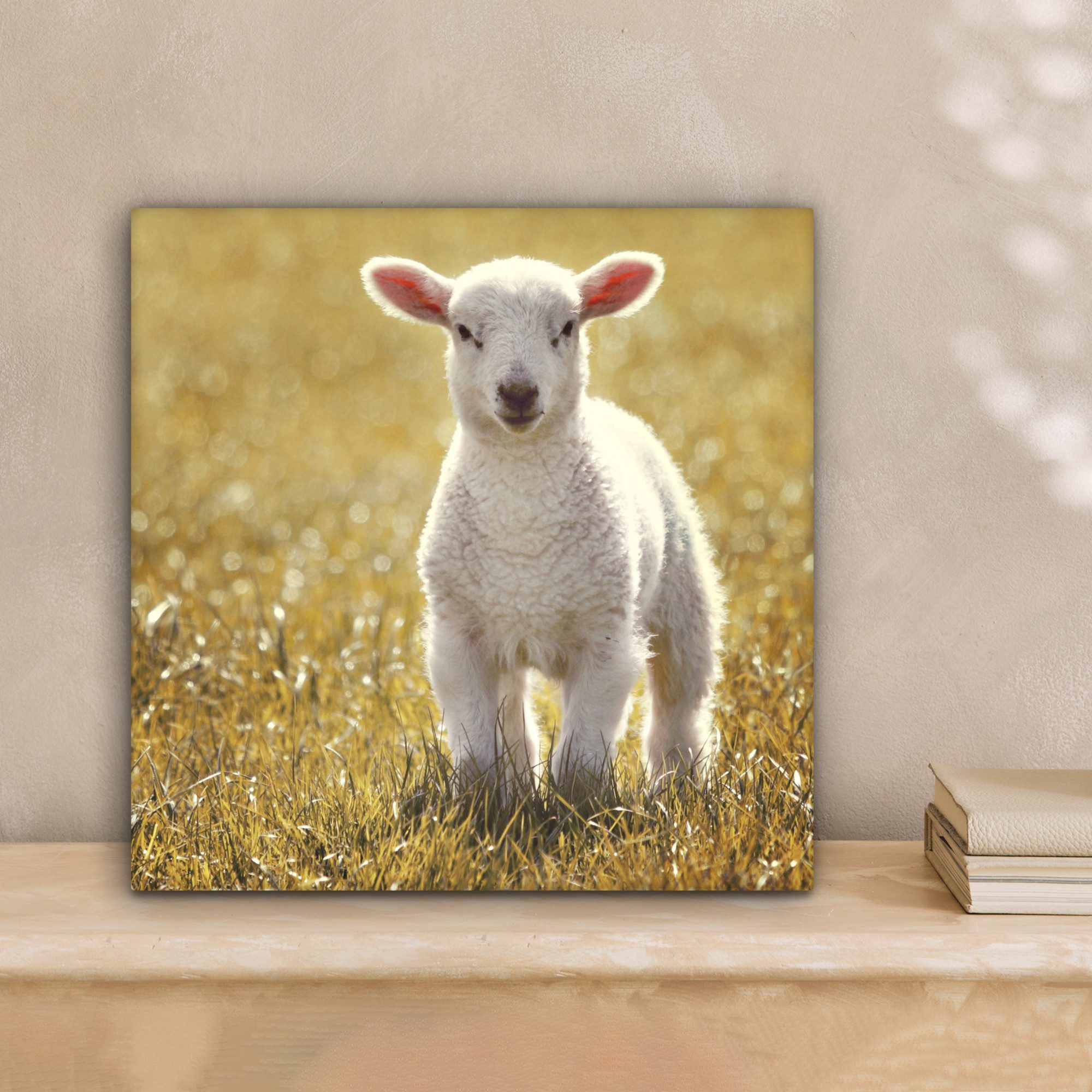 OneMillionCanvasses® Leinwandbild Schafe - Gras - Sonne, Fotodruck (1 St), günstig online kaufen