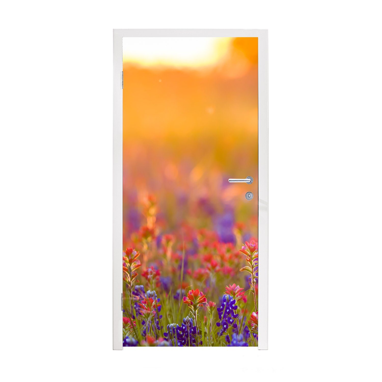 - Gold Blumen St), Tür, Matt, Türaufkleber, für (1 cm - Fototapete MuchoWow 75x205 Türtapete Sonne, bedruckt,