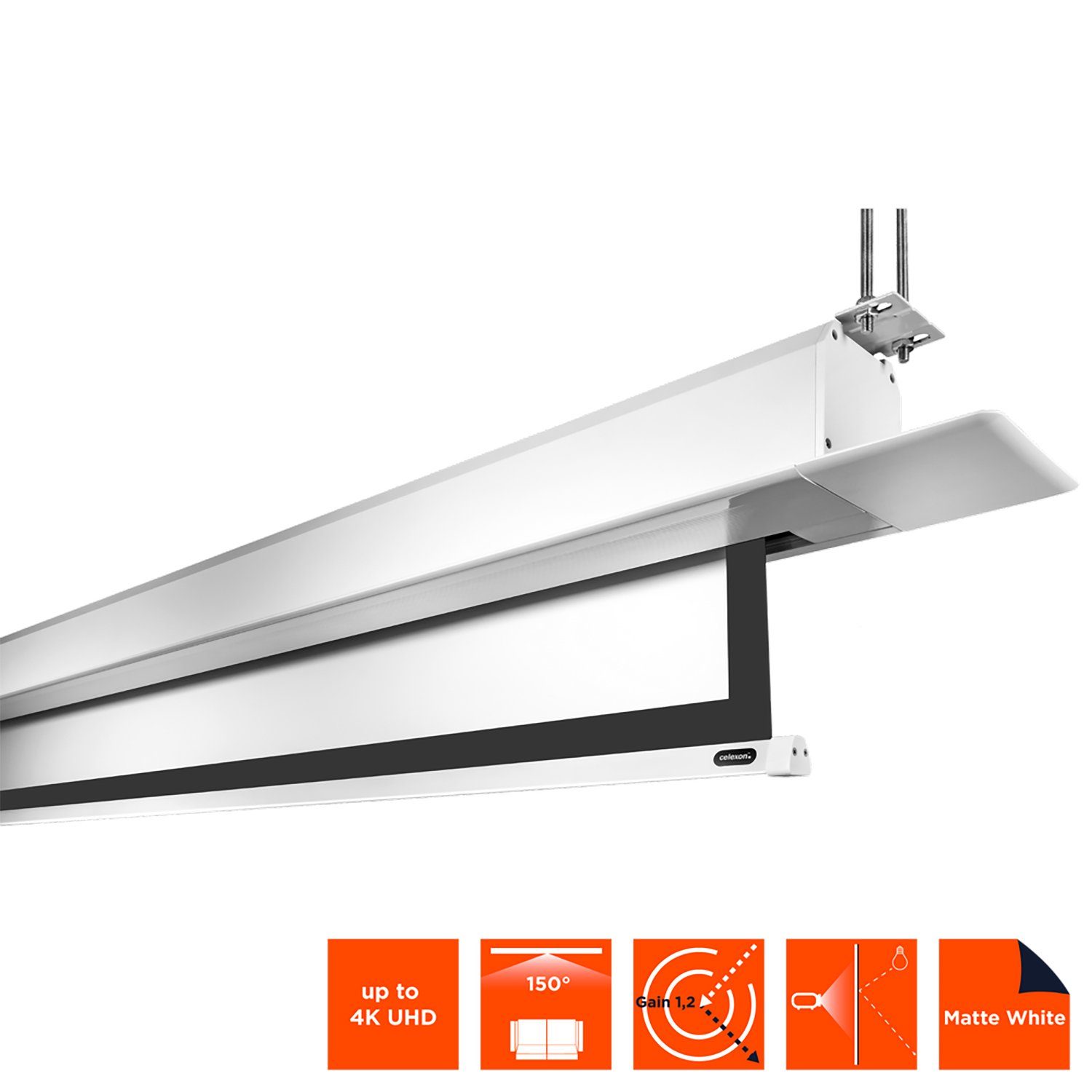 Celexon Deckeneinbau Pro+ Gain 124cm, (220 Motorleinwand x 16:9, 1,2)