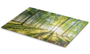 Posterlounge Acrylglasbild Hannes Cmarits, Wald bei Sonnenaufgang, Badezimmer Landhausstil Fotografie